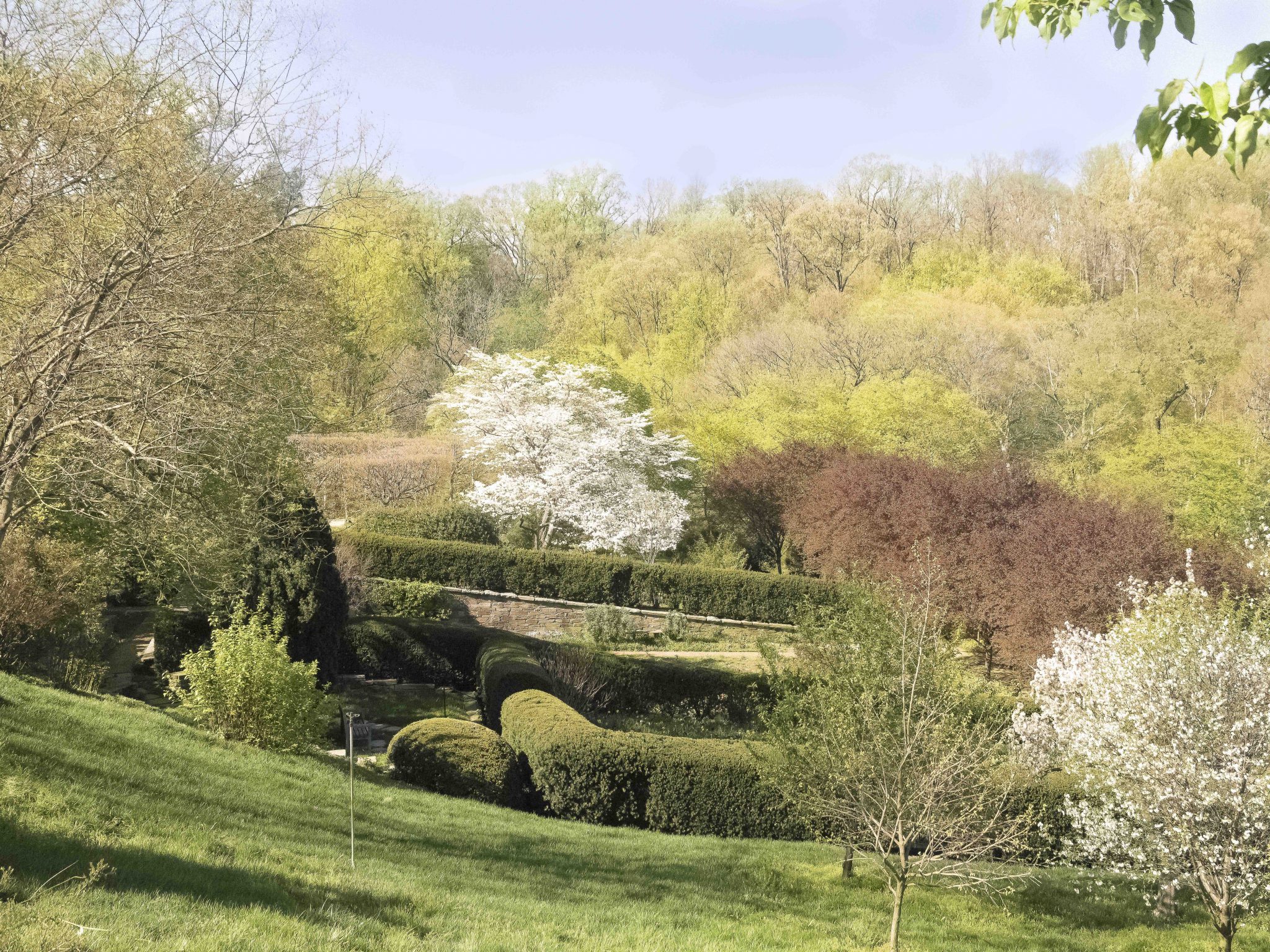 Dumbarton Oaks, Museum and Gardens